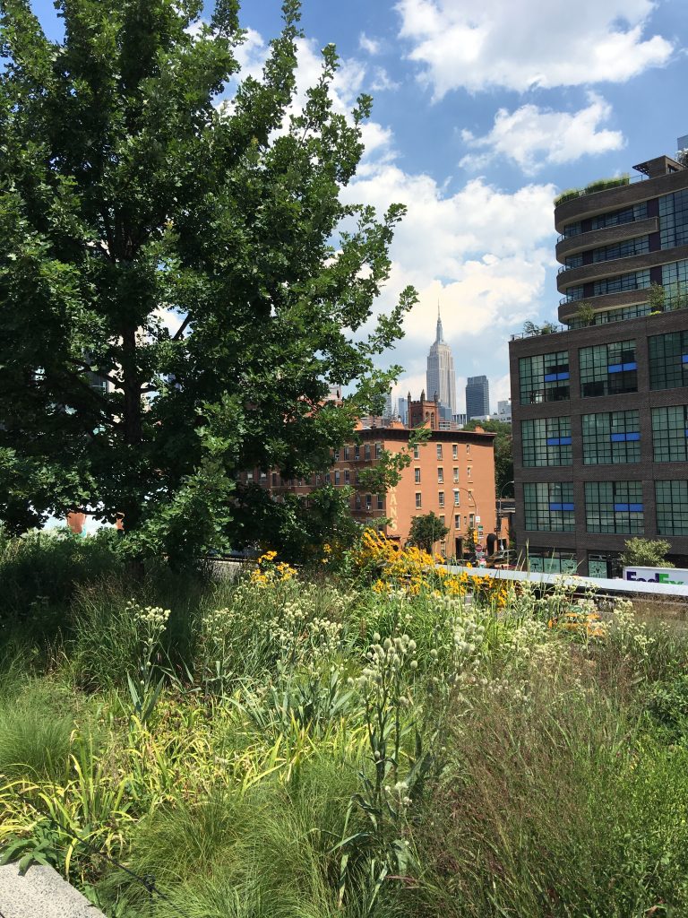 New York City High Line Park 