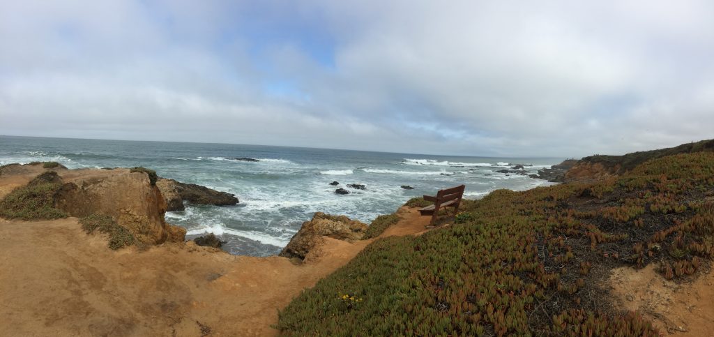 Seat with a view at Pescadero State Beach 