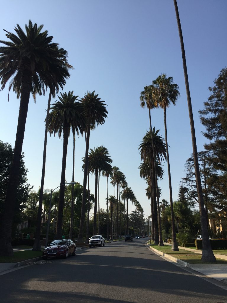 Beverly Hills opulence 