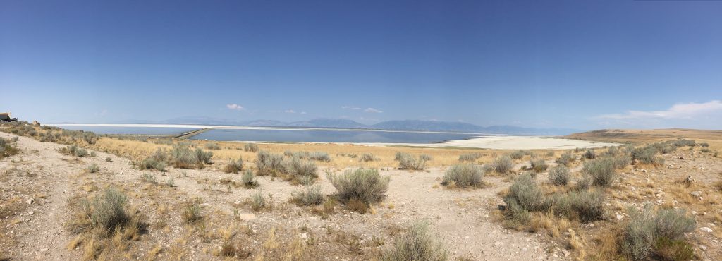 Antelope Island in the Great Salt Lake