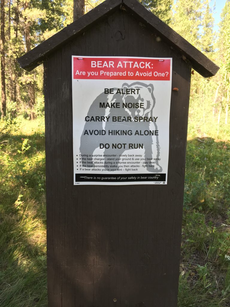 We carried the pepper spray! But no bear in sight ...