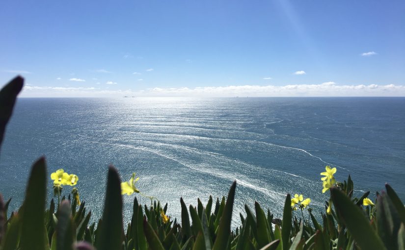 Point Reyes: wild and rugged Pacific Cape